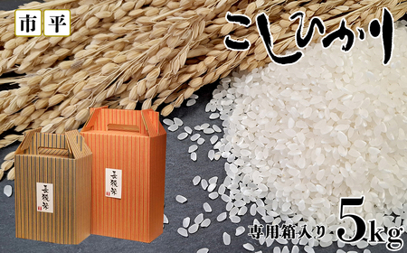 【市平】ボックス入り長狭米コシヒカリ５㎏ [0019-0008]
