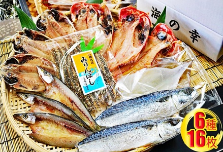 【久根崎善次郎商店】厳選！干物セット6種16枚 [0020-0098]