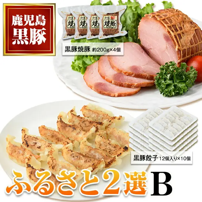 【B02104】ふるさと2選B 焼豚(約200g×4個・計800g)と餃子(12個入×10パック・計120個)のセット 鹿児島 国産 九州産 黒豚 豚肉 お肉 焼豚 餃子 冷凍 おかず ギフト 贈答 特別な日に【和田養豚】