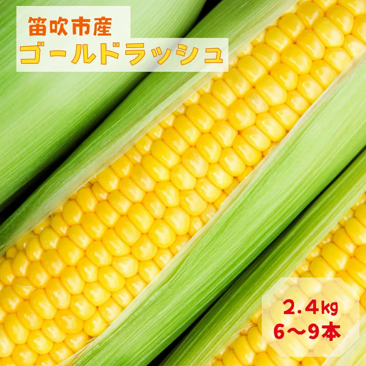 【2026年発送★先行予約】笛吹市八代産とうもろこし「ゴールドラッシュ」2.4kg 167-003