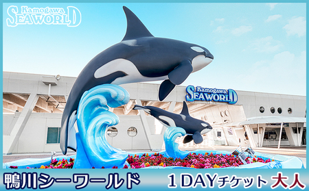 【鴨川シーワールド】１Dayチケット 大人（高校生以上）１枚　[0012-0060]