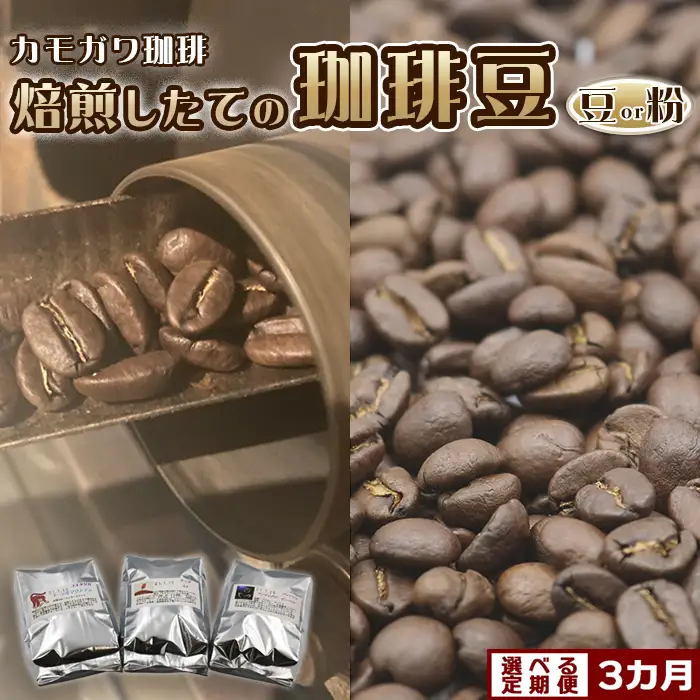 【カモガワ珈琲の定期便】焙煎したてのコーヒー豆 ３種（170g×３袋）３カ月《豆・隔月発送》　[0052-0005]