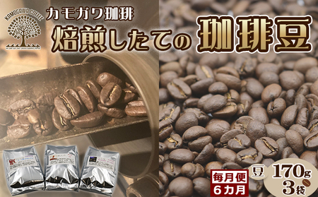 【カモガワ珈琲の定期便】焙煎したてのコーヒー豆 ３種（170g×３袋）６カ月《豆・毎月発送》　[0103-0001]