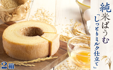 【米屋新蔵】米粉のバウムクーヘン『純米ばうむ～しっとりミルク仕立て』２個　[0011-0079]