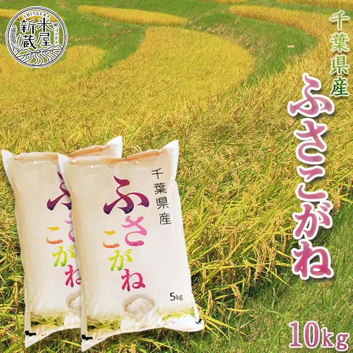 《令和７年産》【米屋新蔵】お米ソムリエ特選 千葉県産『ふさこがね』10kg　[0026-0008]
