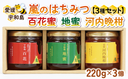 国産純粋はちみつ 嵐 の はちみつ 天然 100％ 3種 セット 百花蜜 地蜜 河内晩柑 みつばち屋嵐  F022-129001