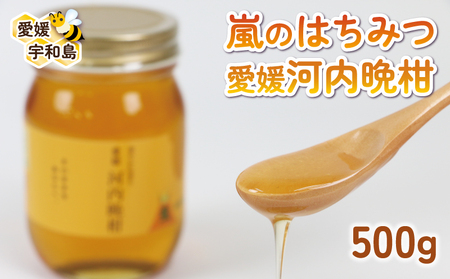 みかん蜂蜜 嵐 の はちみつ 天然 100％ 河内晩柑 みつばち屋嵐 非加熱 蜂蜜 F015-129003