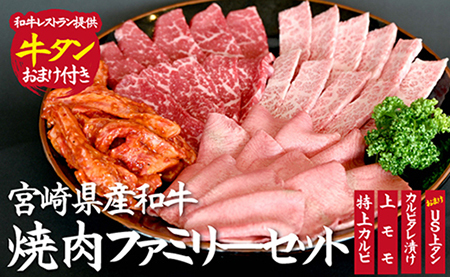 【おまけ付き】宮崎県産和牛焼肉ファミリーセット 焼肉 和牛 焼肉セット 国産焼肉セット 牛肉 牛肉セット和牛セット