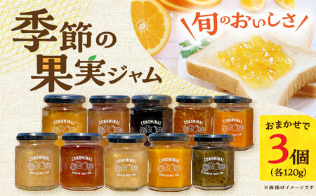 季節の果実ジャム 3個（各120g） 長与町/アグリューム [EAI088]  瓶 セット ジャム じゃむ 季節の果実 果物 詰め合わせ フルーツジャム 国産 10000円 1万円