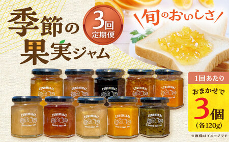 【3回定期便】季節の果実ジャム 3個（各120g） 長与町/アグリューム [EAI089]  瓶 セット ジャム