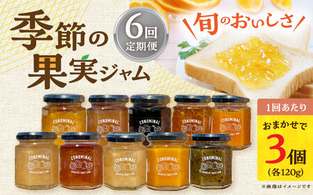 【6回定期便】季節の果実ジャム 3個（各120g） 長与町/アグリューム [EAI090]  瓶 セット ジャム
