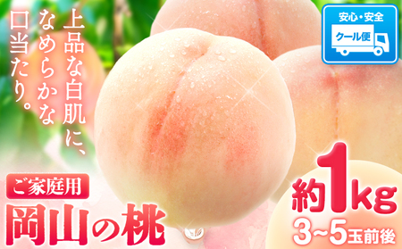 岡山の桃 約1kg　白桃