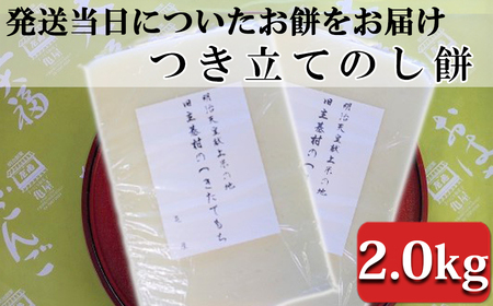 【日時指定必須】つきたて「のし餅」（2.0kg）　[0011-0039]
