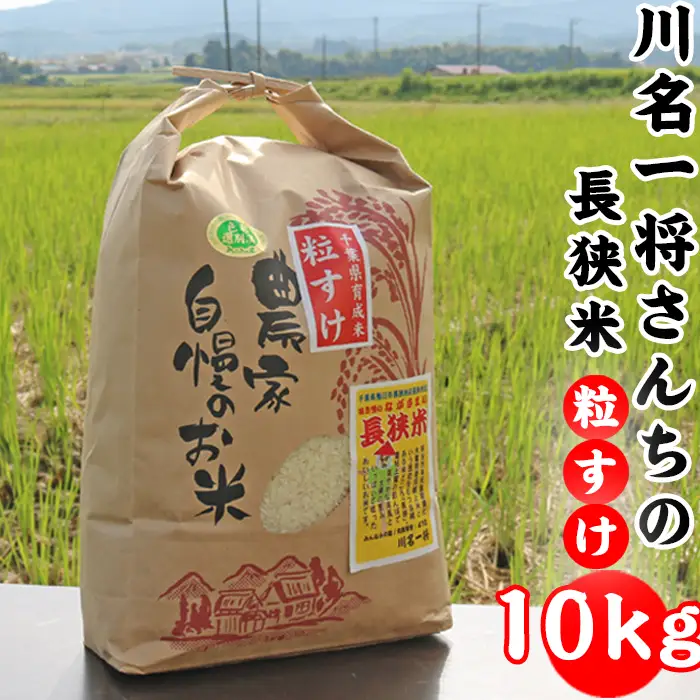 【令和7年産】川名一将さんちの長狭米　長狭米『粒すけ』 10kg [0028-0006]