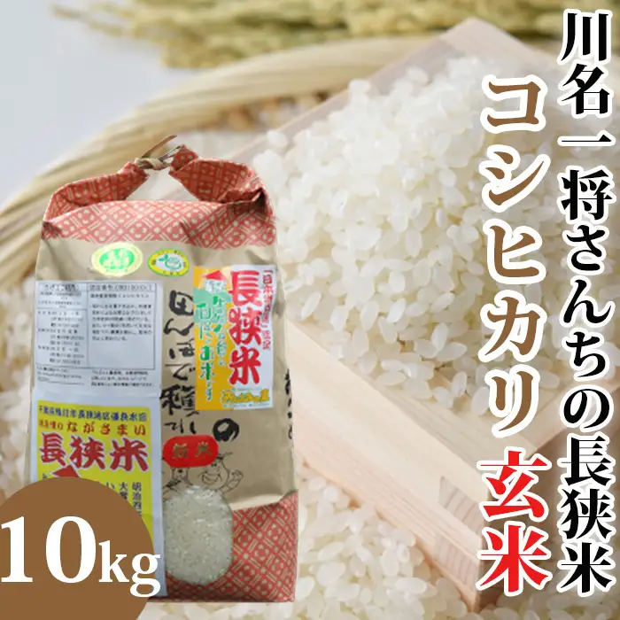 【令和7年産】川名一将さんちの長狭米　コシヒカリ10kg【玄米】[0030-0133]
