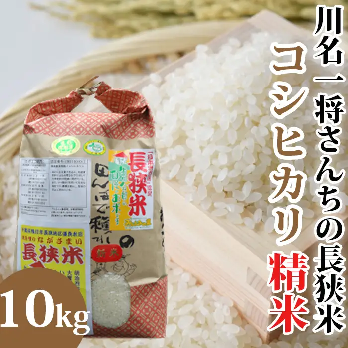 【令和7年産】川名一将さんちの長狭米　コシヒカリ10kg【精米】[0030-0133]