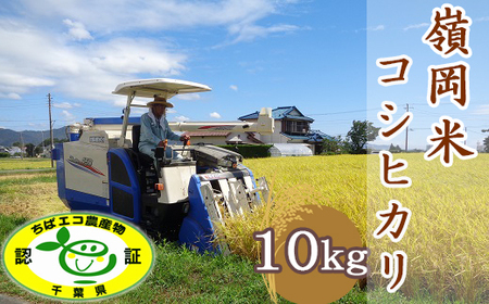 【令和7年産】嶺南ファームの嶺岡米「コシヒカリ」10kg [0034-0007]