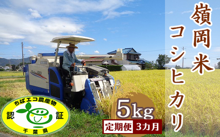 【定期便】【令和7年産】嶺南ファームの嶺岡米「コシヒカリ」5kg×3回 [0050-0101]