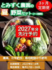 【2027年夏出荷開始・3回定期便】産地直送！高原の夏野菜セット(北海道・沖縄県・離島は配送不可) 長野 信州 無農薬 旬 季節 新鮮 詰合せ 直送〈2027年6月17日出荷開始～2027年8月28日出荷終了〉