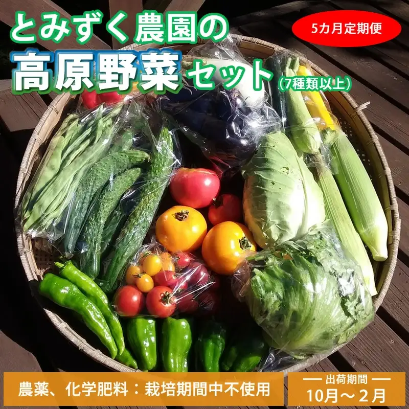 【5回定期便・10～2月出荷】産地直送！高原の秋冬野菜セット(北海道・沖縄県・離島は配送不可) 長野 信州 無農薬 旬 季節 新鮮 詰合せ 直送 先行予約＜出荷時期2026年10月17日以降出荷開始～2027年2月28日出荷終了＞