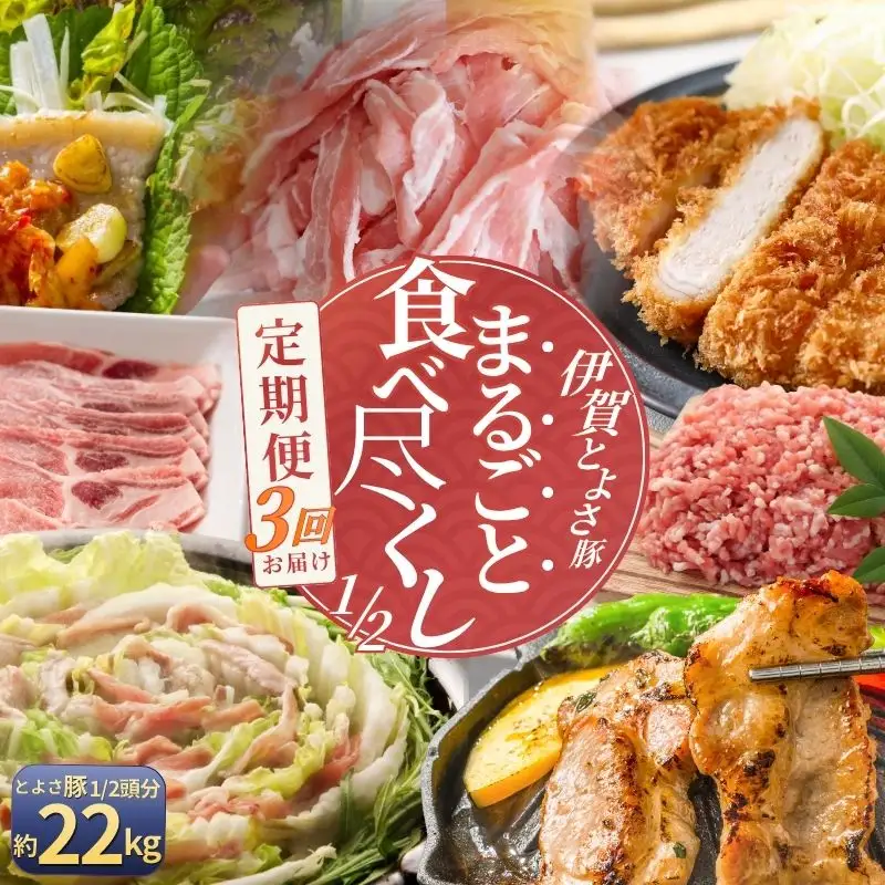 【3回分割発送】伊賀とよさ豚1/2まるごと食べ尽くし【cook-tkb0003】