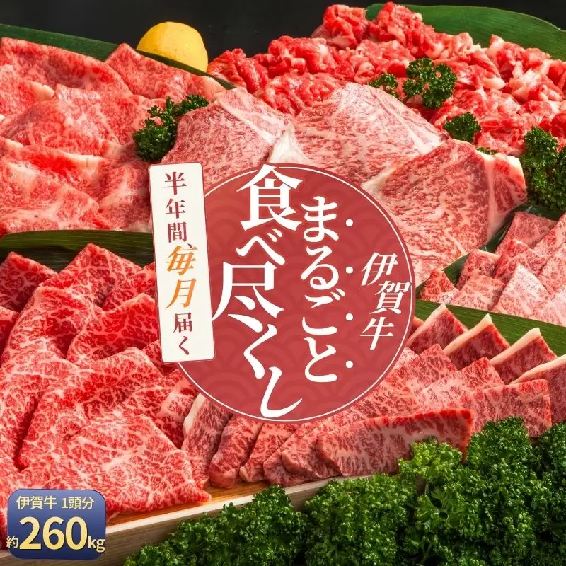 【月3×6回 計18回発送】肉の横綱　伊賀牛まるごと食べ尽くし【cook-tkb0004】