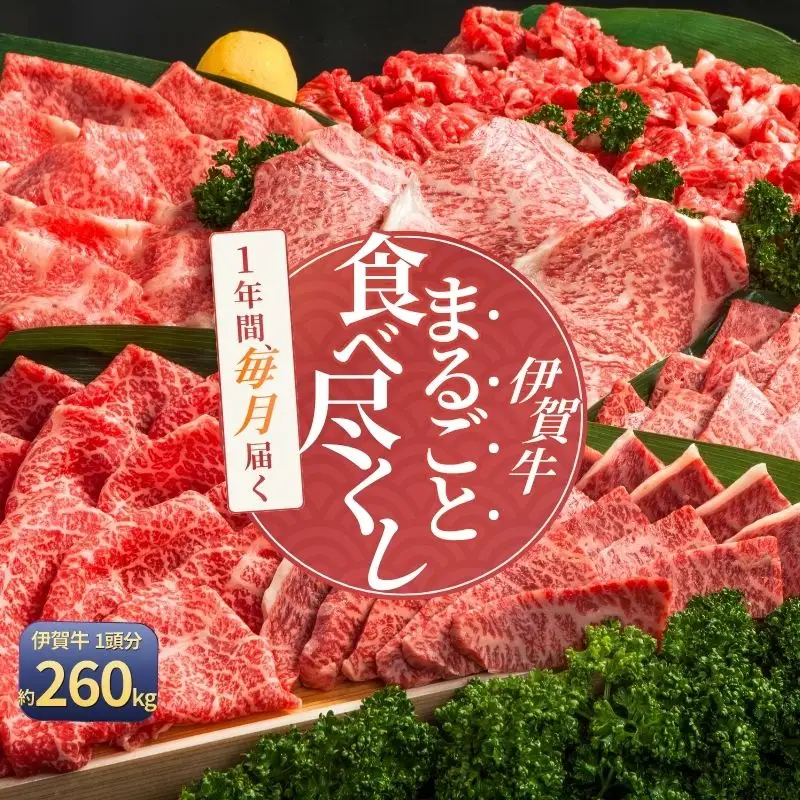 【月3×12回　計36回発送】肉の横綱　伊賀牛まるごと食べ尽くし【cook-tkb0005】