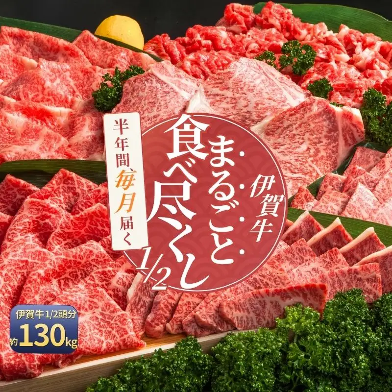 【月3×6回 計18回発送】肉の横綱　伊賀牛１/2まるごと食べ尽くし【cook-tkb0006】