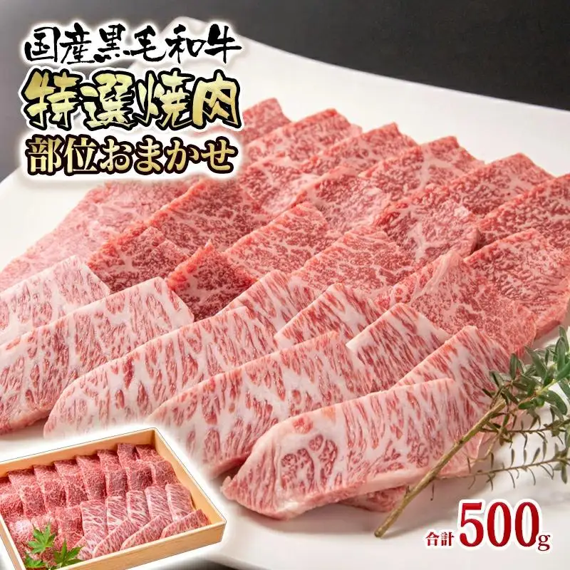 黒毛和牛 希少部位を含む特選焼肉500g 部位おまかせ 有田牧場＜14-11a＞