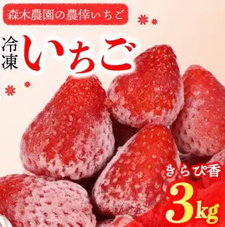 冷凍いちご きらぴ香 3kg 苺 冷凍いちご 【森木農園】
