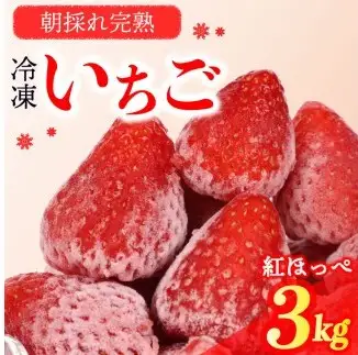 苺 冷凍いちご 紅ほっぺ  3kg 冷凍いちご 苺 