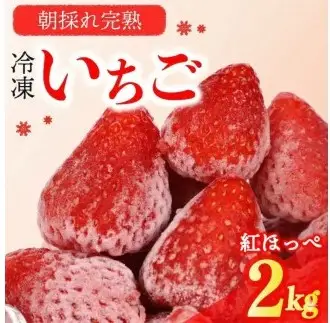 冷凍いちご 紅ほっぺ いちご 2kg 苺 冷凍いちご
