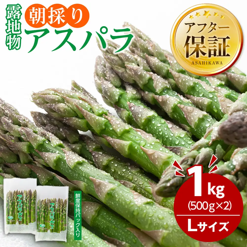 【先行予約】朝採りアスパラ Lサイズ 1kg（500g×2）鮮度保持パック入り 旭川近郊産 露地物(5月中旬発送開始) | アスパラ 北海道 _01590