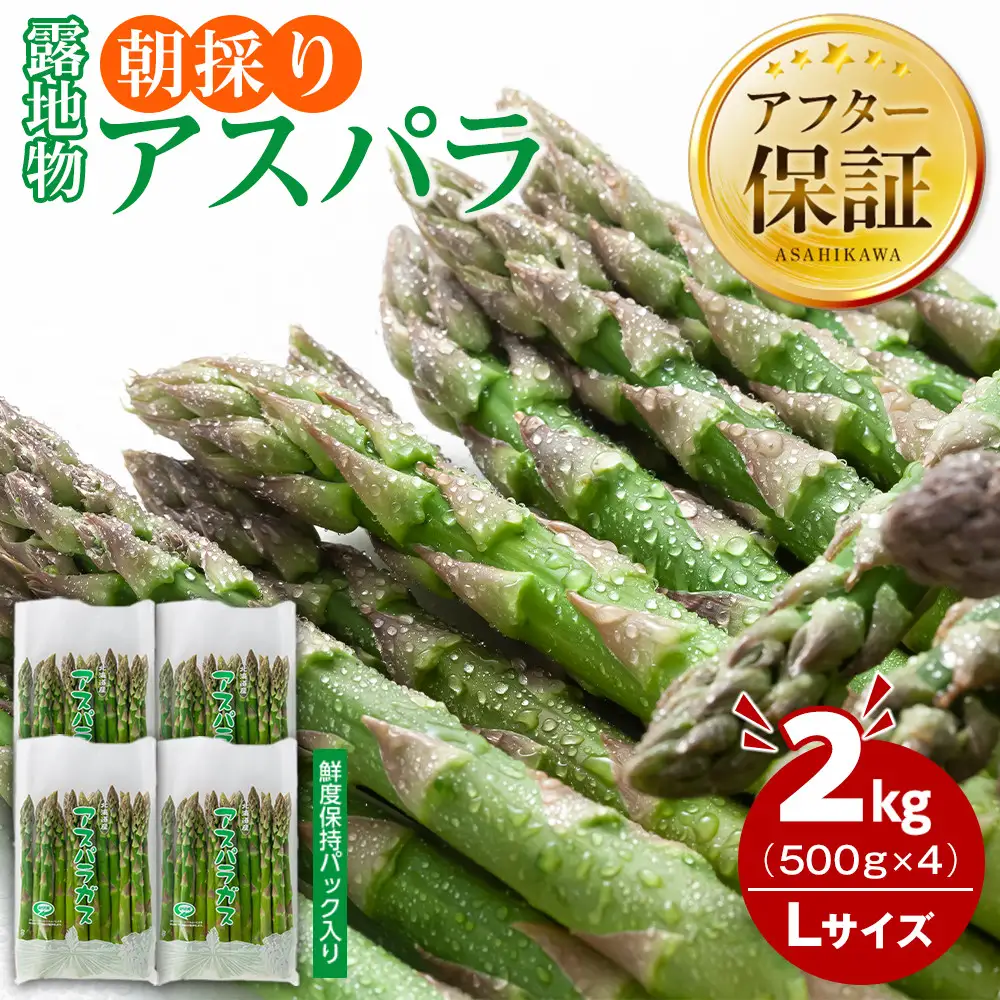 朝採りアスパラ Lサイズ 2kg（500g×4）鮮度保持パック入り 旭川近郊産 露地物(5月中旬発送開始) | アスパラ 北海道