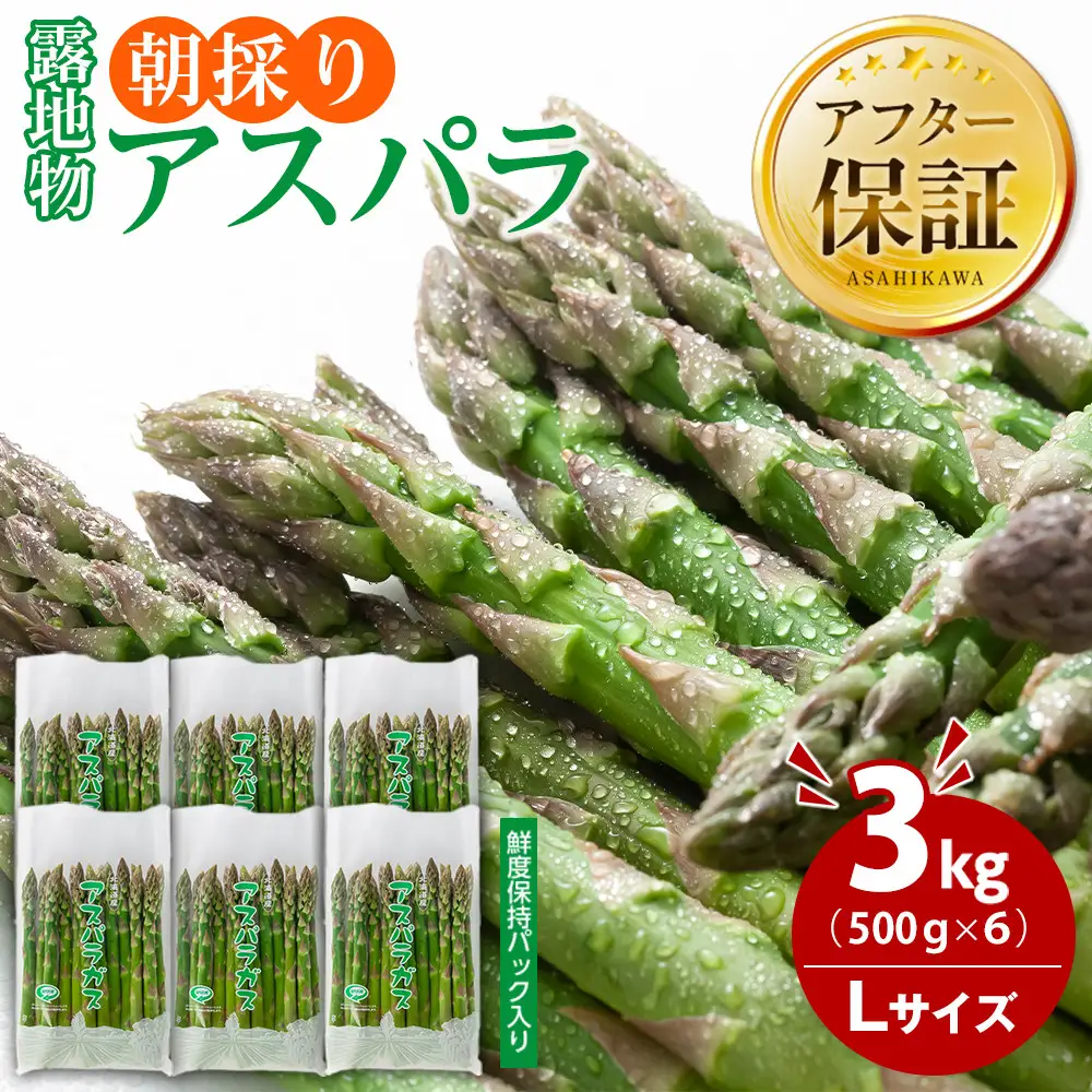 朝採りアスパラ Lサイズ 3kg（500g×6）鮮度保持パック入り 旭川近郊産 露地物(5月中旬発送開始) | アスパラ 北海道_01592