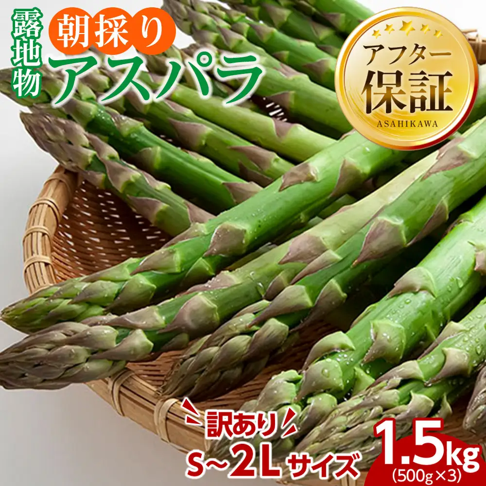 【先行予約】訳あり 露地物朝採りアスパラ 500g×3セット鮮度保持フィルム入り(5月中旬発送開始) | 北海道　アスパラ