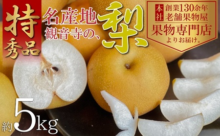 【2026年8月中旬より順次発送】特秀品！観音寺の梨（豊水・南水）約5kg 果物 フルーツ  デザート おやつ 食後 国産 日本産 産地直送 みずみずしい シャキシャキ 
