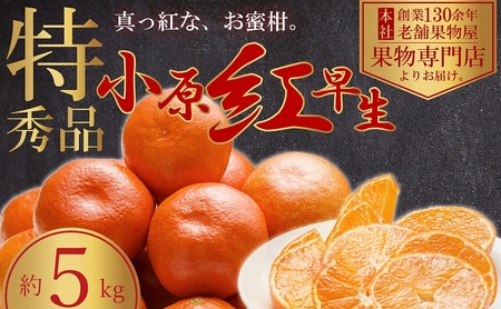 【2026年11月中旬より順次発送】極撰！真っ赤なみかんの小原紅早生　約5kg 果物 フルーツ 柑橘 デザート おやつ 食後 国産 日本産 産地直送 香川オリジナル品種 食べ物 