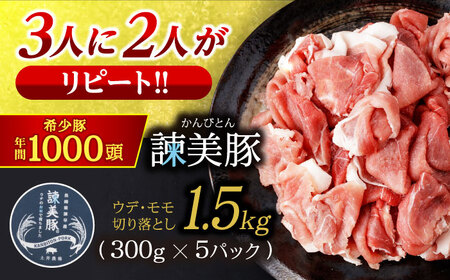 諫美豚切り落とし(ウデ、モモ) 1.5kg(300g×5) / 豚肉 ぶたにく 切り落とし スライス パック 小分け / 諫早市 / 株式会社土井農場 [AHAD061]