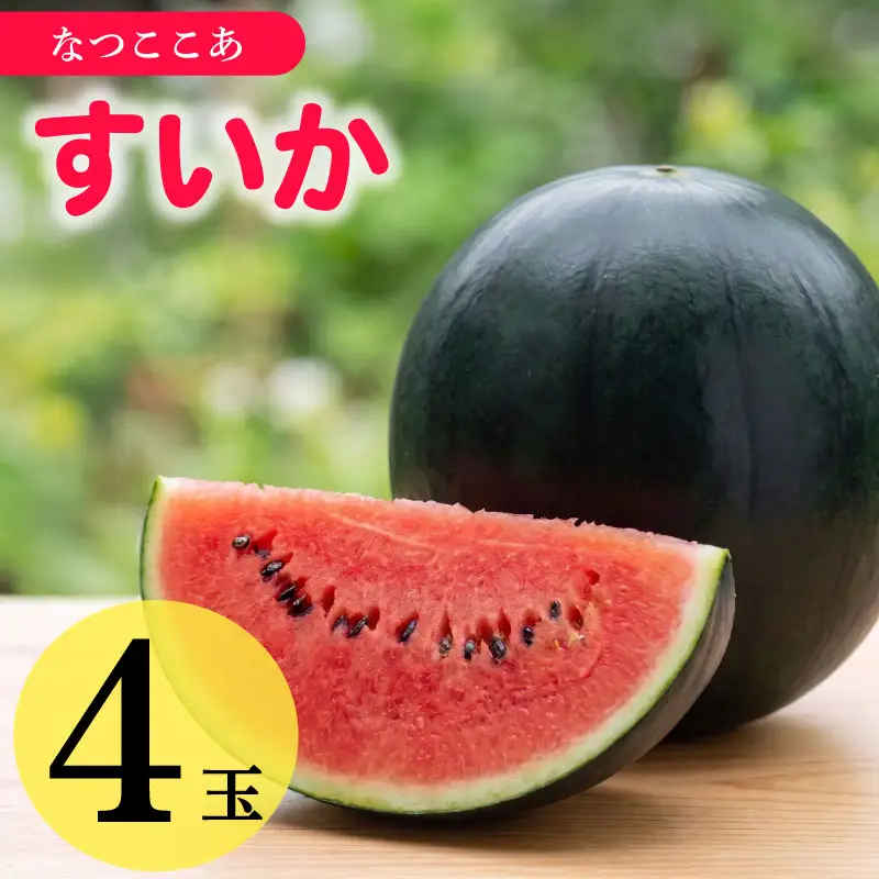 【先行予約】 すいか 2Lサイズ 4個入  なつここあ 牧之原市 静岡県 福代農園