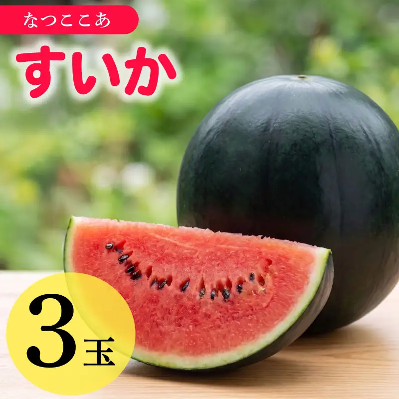 【先行予約】 すいか 3Lサイズ 3個入 なつここあ 牧之原市 静岡県 福代農園
