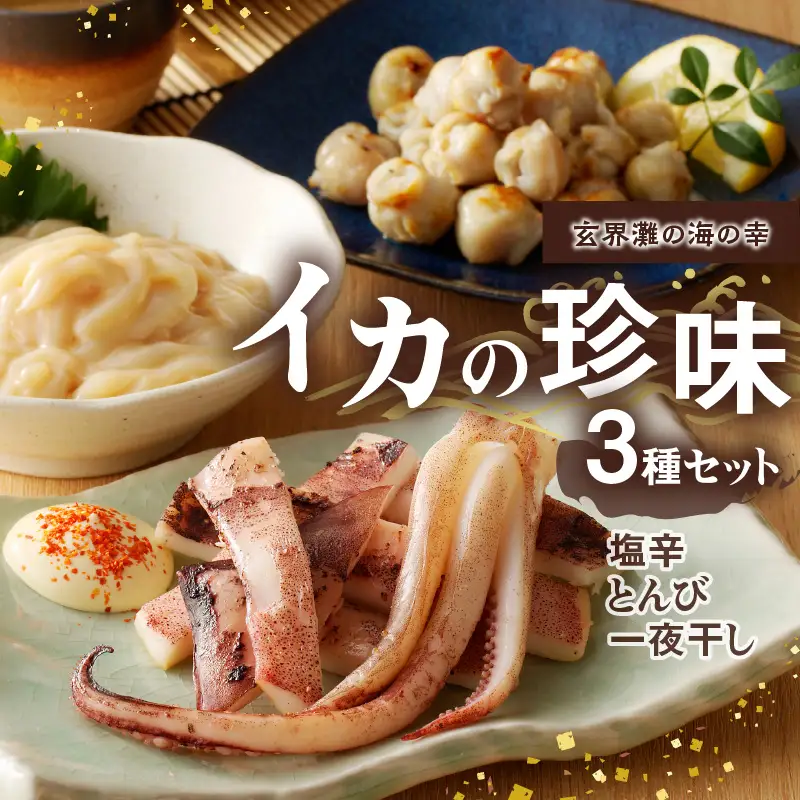 イカの珍味 3点セット｜イカ一夜干し 干物 塩辛 とんび 酒の肴 珍味 おつまみ【A153】