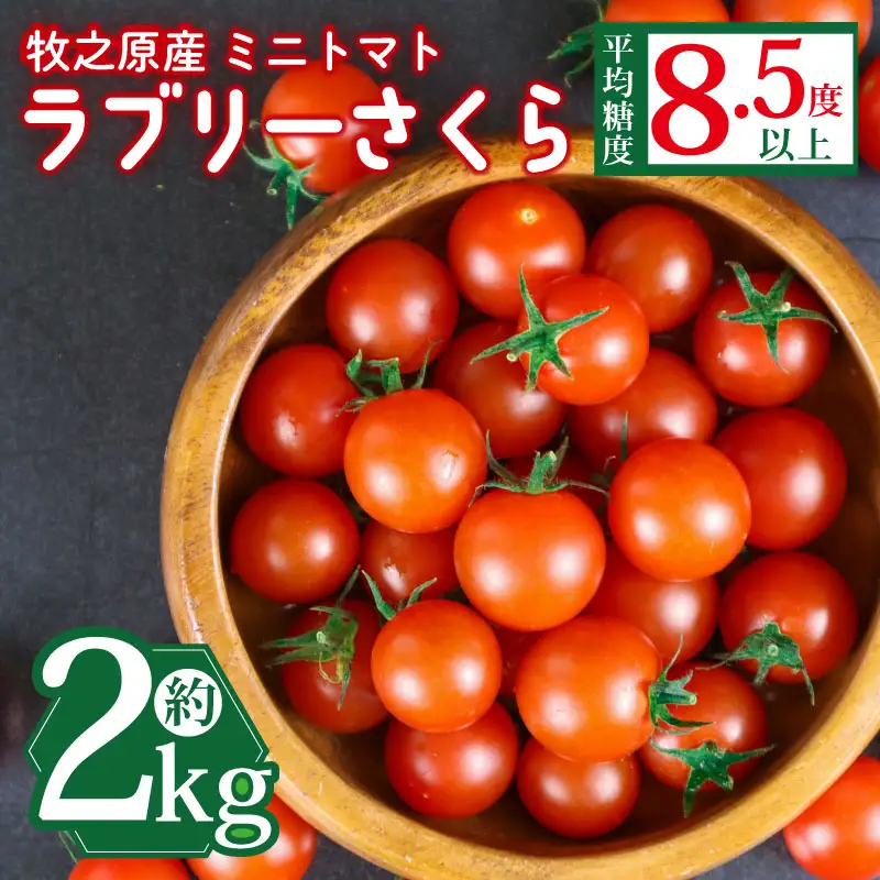 ミニトマト 国産 2kg 【ミニトマト】 山本農園