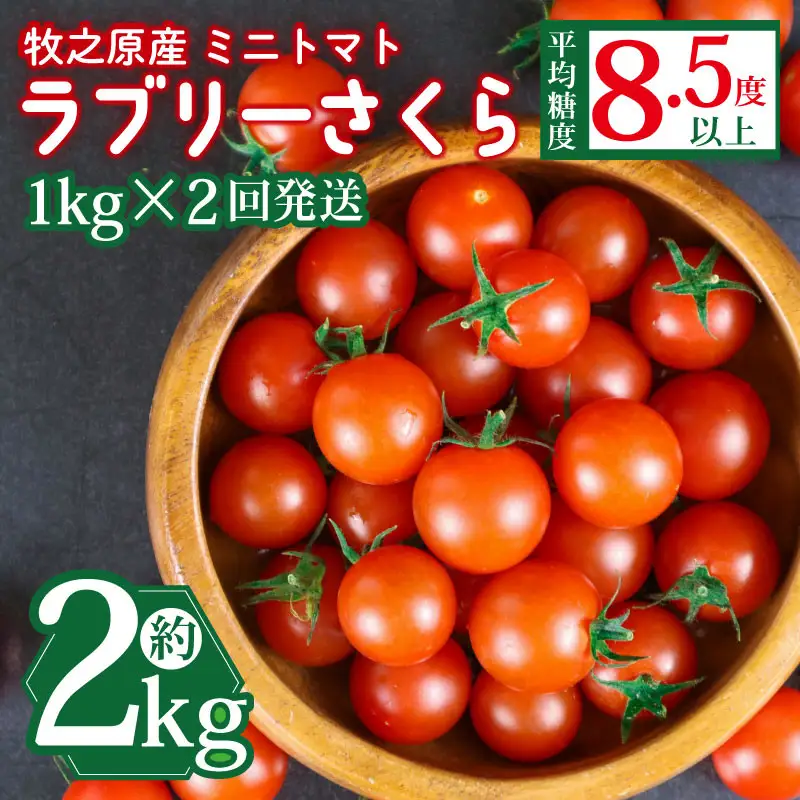 ミニトマト 予約受付 1kg × 2回発送 【ミニトマト】 山本農園