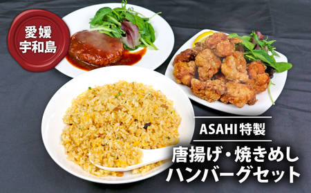 冷凍食品 セット 唐揚げ 焼きめし ハンバーグ ASAHI特製 株式会社きむら 冷凍食品 J010-126004