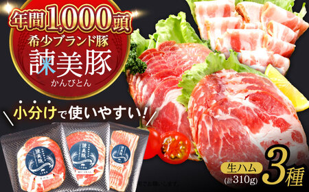 【お中元対応可】諫美豚 生ハム＆生ベーコン 3種セット計4P / 豚肉 ぶたにく ハム はむ 生ハム ベーコン 生ベーコン ロース 肩ロース バラ 小分け / 諫早市 / 株式会社土井農場 [AHAD058]