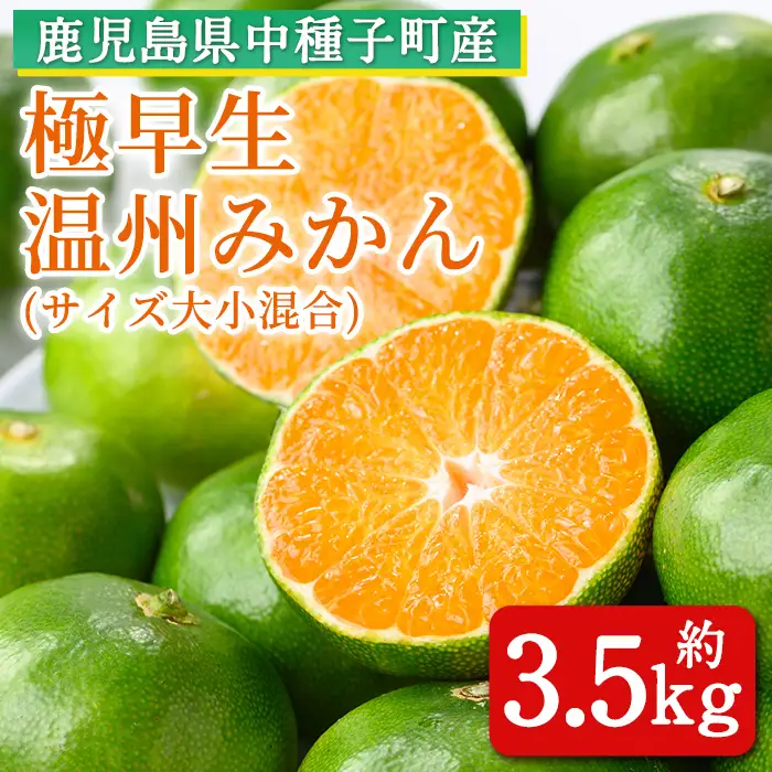 n132 ＜先行予約＞ 極早生 温州みかん 約3.5kg サイズ大小混合 鹿児島 種子島 蜜柑 ミカン 【提果樹園】