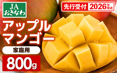 【先行受付】【2026年発送】JAおきなわの産直アップルマンゴー 約800g　2~4玉入り【ご家庭用・白箱】- 先行予約 沖縄 産地直送 南国フルーツ 旬の味覚 家庭用 オススメ 沖縄県 八重瀬町