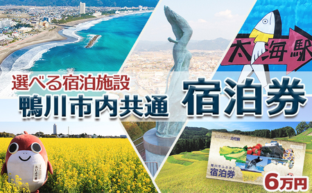 【千葉県鴨川市】市内宿泊施設『共通宿泊券』６万円相当　[0200-0008]