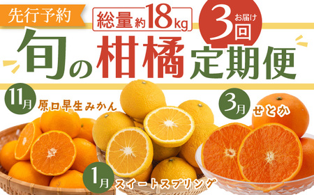 【3回定期便】みかん 3種 食べ比べ [OCU005] / みかん 